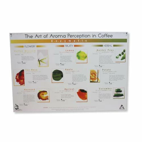 Art Of Aroma Set Of 4 Posters SCAA 2 Art Of Aroma Set Of 4 Posters SCAA - Image 2