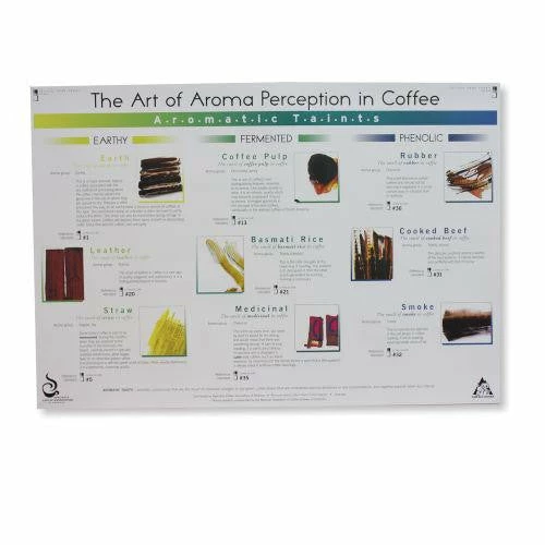 Art Of Aroma Set Of 4 Posters SCAA 3 Art Of Aroma Set Of 4 Posters SCAA - Image 3