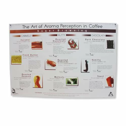 Art Of Aroma Set Of 4 Posters SCAA 4 Art Of Aroma Set Of 4 Posters SCAA - Image 4
